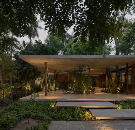 A Forest in the House